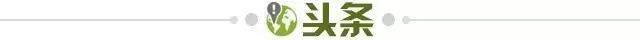 d25790e5-0d3d-437d-a1eb-a86291565f82.jpg@!img01
